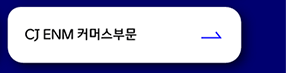 CJ ENM 커머스부문