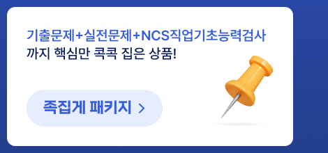 ���⹮��+��������+NCS�������ʴɷ°˻� ���� �ٽɸ� ���� ���� ��ǰ! ������ ��Ű��