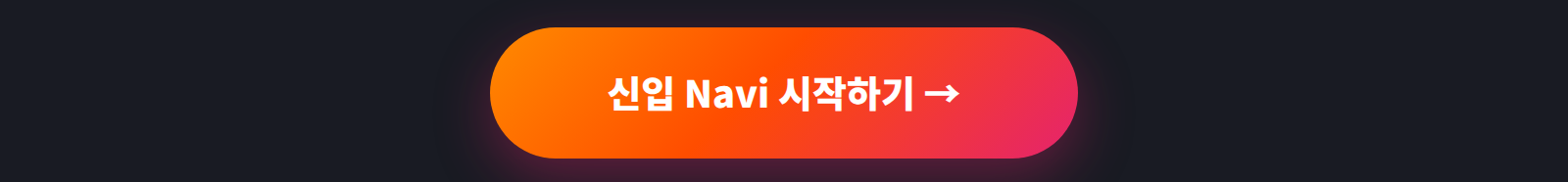 ���� Navi �����ϱ�